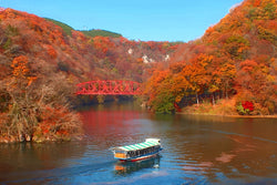 Explore Hiroshima’s Northern Gems - Taishakukyo Gorge, Miyoshi Winery, and Sakura Cycle Rail Biking