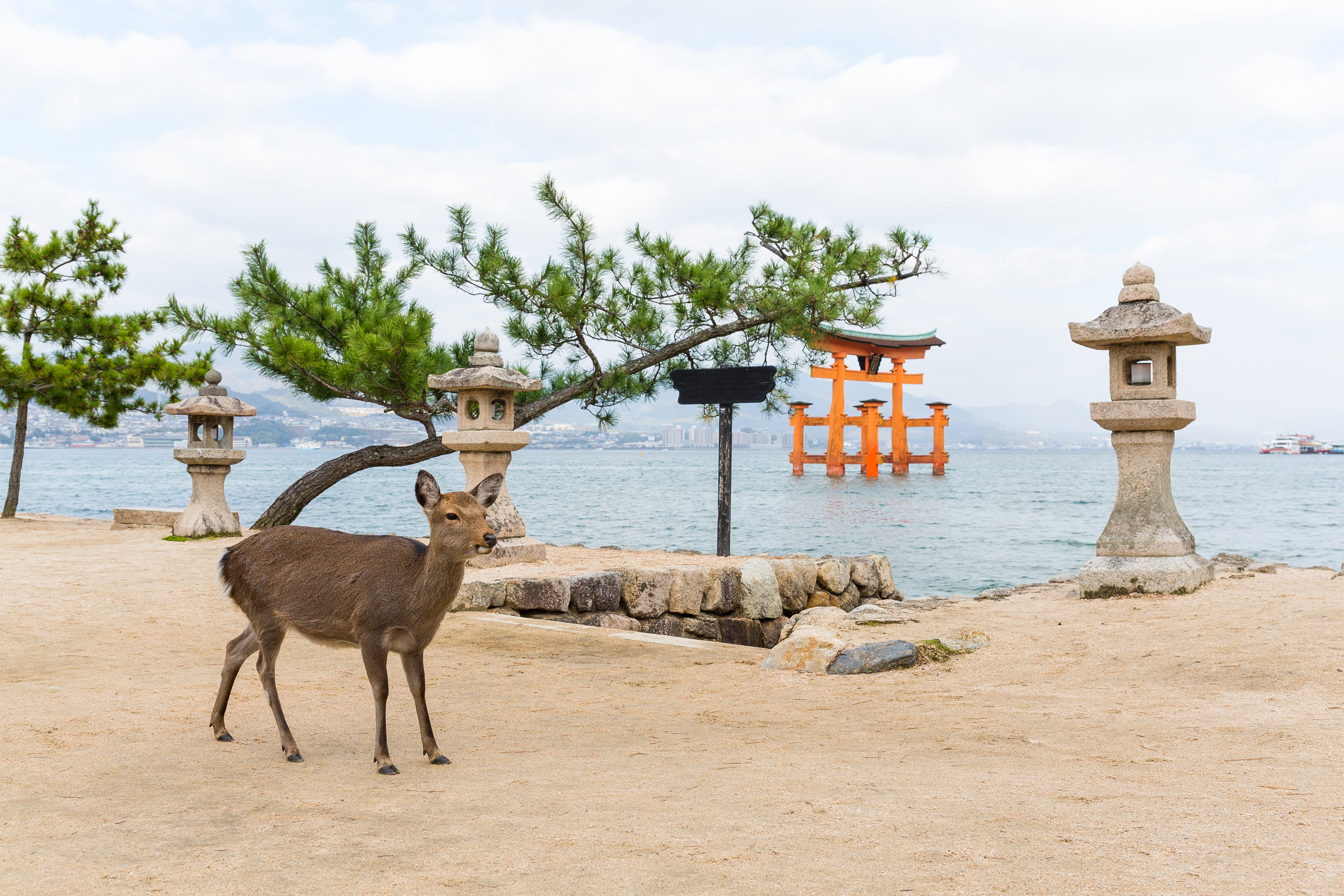 Miyajima Island